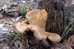DSCF9772