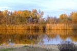 DSCF0060