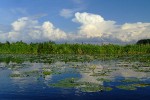 Байдарочный поход выходного дня по Нижнеднепровским плавням (май 2010)