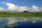 Байдарочный поход выходного дня по Нижнеднепровским плавням (май 2010)