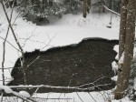 IMG_6688
