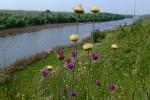 Река Ингулка