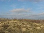 IMG_3938