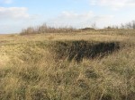 IMG_3953