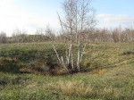 IMG_3954
