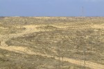 DSCF0079