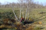 DSCF0084