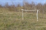 DSCF0086