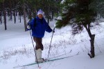 Лыжный поход выходного дня по Цюрупинскому лесу 20 декабря 2009