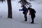 Лыжный поход выходного дня по Цюрупинскому лесу 20 декабря 2009