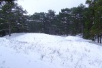 Лыжный поход выходного дня по Цюрупинскому лесу 20 декабря 2009
