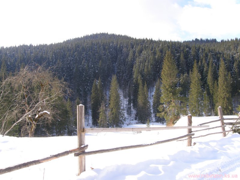 Зимние Карпаты 2010