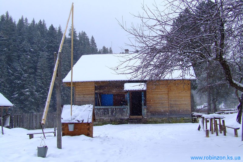 Козменьщик - наш деревянный домик, 31 января 2010